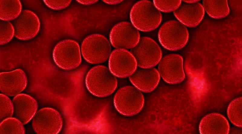 Понижены тромбоциты в крови: причины, лечение и что это значит?